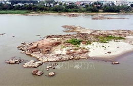 Nước sông Hồng đoạn qua Phú Thọ cạn, tàu thuyền di chuyển khó khăn