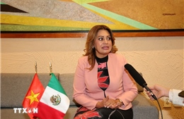 Bầu cử Quốc hội và HĐND: Củng cố vai trò hoạch định chính sách trong phát triển đất nước 