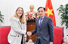 Bộ trưởng Ngoại giao Lê Hoài Trung tiếp Quốc Vụ khanh Bộ Kinh tế, Giáo dục và Nghiên cứu Thụy Sỹ