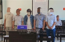 Tuyên án 5 bị cáo trong vụ tận thu rừng cháy gây thiệt hại hơn 5,5 tỷ đồng