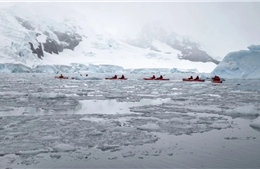 Phát hiện vi sinh vật Nam Cực có thể “ăn” khí quyển để tồn tại trong điều kiện khắc nghiệt