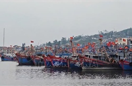 Khắc phục 'thẻ vàng' IUU: Thanh Hóa đầu tư mạnh cho hiện đại hóa cảng cá