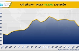 Lực mua áp đảo trên thị trường hàng hóa, chỉ số MXV-Index tăng 1,4%