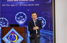 Định hướng phát triển và thúc đẩy hệ sinh thái AI tại Việt Nam