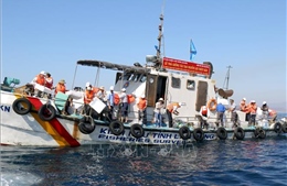 Lâm Đồng: Thả hơn 1 triệu con giống tái tạo nguồn lợi thủy sản