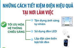 Những cách tiết kiệm điện hiệu quả tại nơi làm việc