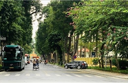 Hà Nội tháng Ba: Nhịp sống chậm giữa những sắc hoa giao mùa