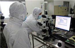 Xây dựng trung tâm nghiên cứu xuất sắc, nâng tầm khoa học công nghệ