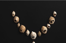 Trang sức 12.000 năm tuổi hé lộ 'ngôn ngữ chung' của người tiền sử