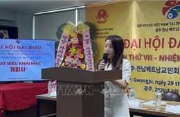 Gắn kết và nâng cao vị thế cộng đồng người Việt tại khu vực Jeonnam - Gwangju (Hàn Quốc)