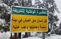 Tuyết rơi giữa mùa Xuân ở Algeria