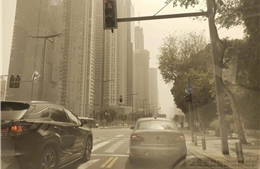 Bão bụi phủ kín Israel, ô nhiễm không khí gia tăng