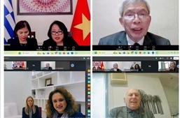 Kết nối Hiệp hội, doanh nghiệp Việt Nam – Hy Lạp trong lĩnh vực gỗ  