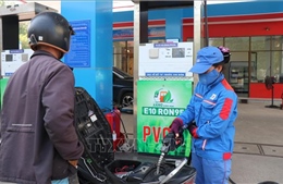 'Thời điểm vàng' cho năng lượng sinh học tại Việt Nam