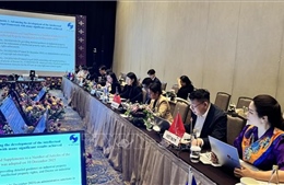 Việt Nam đóng góp tích cực cho Hội nghị Nhóm công tác ASEAN về Hợp tác Sở hữu trí tuệ