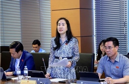 Đại biểu Quốc hội đề xuất giải pháp cho mục tiêu tăng trưởng cao