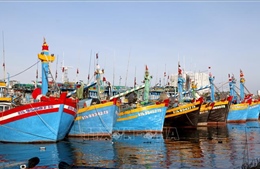 Lâm Đồng triển khai cao điểm chống khai thác IUU 