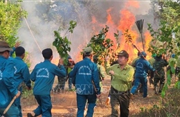 46 phường, xã nguy cơ cháy rừng cấp V, Đồng Nai khẩn trương ứng phó