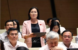 Quốc hội thảo luận về giải quyết tranh chấp đầu tư quốc tế và sửa đổi Luật Cơ quan đại diện ở nước ngoài