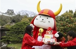 Linh vật được yêu mến tại Nhật Bản chào đón tuổi 20