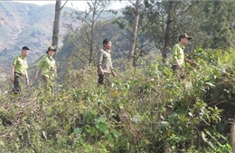 Nhiều cách làm hay phòng, chống cháy rừng mùa hanh khô