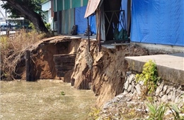Khẩn trương khắc phục sạt lở dài 50 m bên bờ sông Hậu