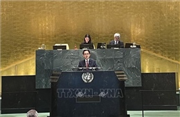 Việt Nam kêu gọi chấm dứt giao tranh, bảo vệ an ninh hàng hải và thúc đẩy đối thoại