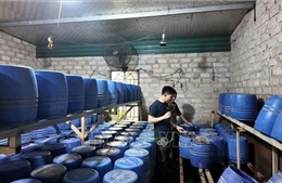 Chủ tịch xã, phường, đặc khu phải chịu trách nhiệm về công tác bảo đảm an toàn thực phẩm