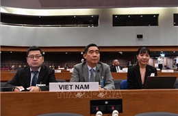 Khóa họp thứ 82 của UNESCAP: Việt Nam xây dựng chiến lược phát triển lấy con người làm trung tâm