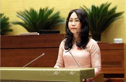 Kỳ họp thứ Nhất, Quốc hội khóa XVI: 10 nhóm chính sách lớn về phát triển văn hóa Việt Nam