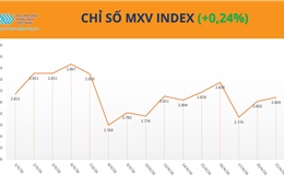 Thị trường dầu thô giằng co vì địa chính trị, giá dầu đậu tương lập đỉnh 3 năm
