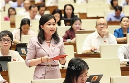 Hoàn thiện các quy định về thí điểm cơ chế chính sách phát triển văn hóa