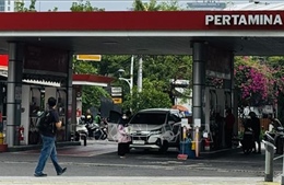 Indonesia dự kiến nhiên liệu sinh học B50 sẽ tiết kiệm hơn 9 tỷ USD ngoại hối