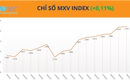 MXV-Index tăng phiên thứ 10 liên tiếp, duy trì trên vùng cao kỷ lục 2.900 điểm