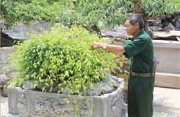 Chuyện về những cựu chiến binh không nản chí trước hoàn cảnh