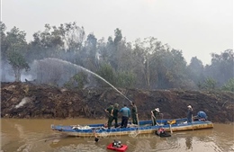 Huy động gần 300 cán bộ, chiến sĩ tham gia khống chế vụ cháy lớp thực bì trong rừng tràm