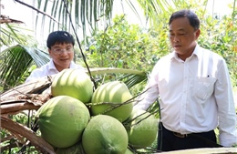 Liên kết '4 nhà' nâng tầm chuỗi giá trị dừa sáp