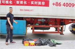 Liên tiếp bắt giữ các đối tượng vận chuyển pháo nổ trái phép qua biên giới