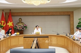 Quy định rõ cơ chế về dịch vụ hấp thụ và lưu giữ các-bon của rừng