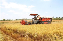 Phát triển bền vững vùng đồng bào dân tộc thiểu số và miền núi