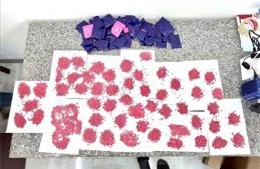 Trung - Mỹ triệt phá đường dây ma túy xuyên quốc gia