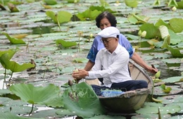 Nét văn hóa độc đáo của trà sen xứ Huế 