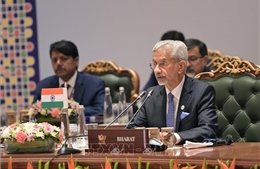 Ấn Độ, Ai Cập kêu gọi BRICS thúc đẩy phối hợp trước các thách thức toàn cầu