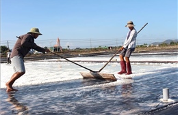 Vụ muối ở Lâm Đồng kéo dài, giá tăng