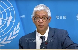 LHQ và IAEA cảnh báo nguy cơ mất an toàn hạt nhân 