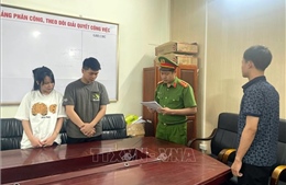 Khởi tố 2 bị can về hành vi 'Xâm phạm quyền sở hữu công nghiệp'