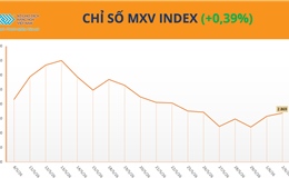 Thiếu cung đẩy giá cao su lên cao nhất 9 năm, MXV-Index nối dài đà phục hồi