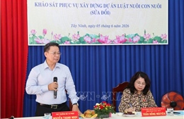 Nghiên cứu bổ sung điều kiện nhận con nuôi, bảo đảm quyền lợi tốt nhất cho trẻ em