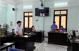 Miễn hình phạt nguyên Kế toán trưởng CDC Huế trong vụ mua sắm kit xét nghiệm Việt Á
