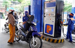 Xăng E10 chính thức 'phủ kín' thị trường bán lẻ Quảng Ngãi
